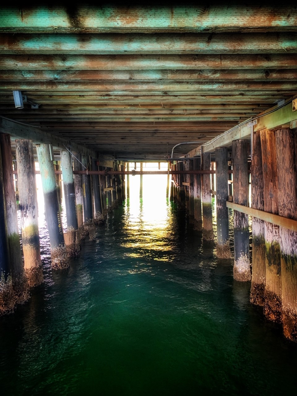 Under the Harford Pier. Photo credit-Erin Smith