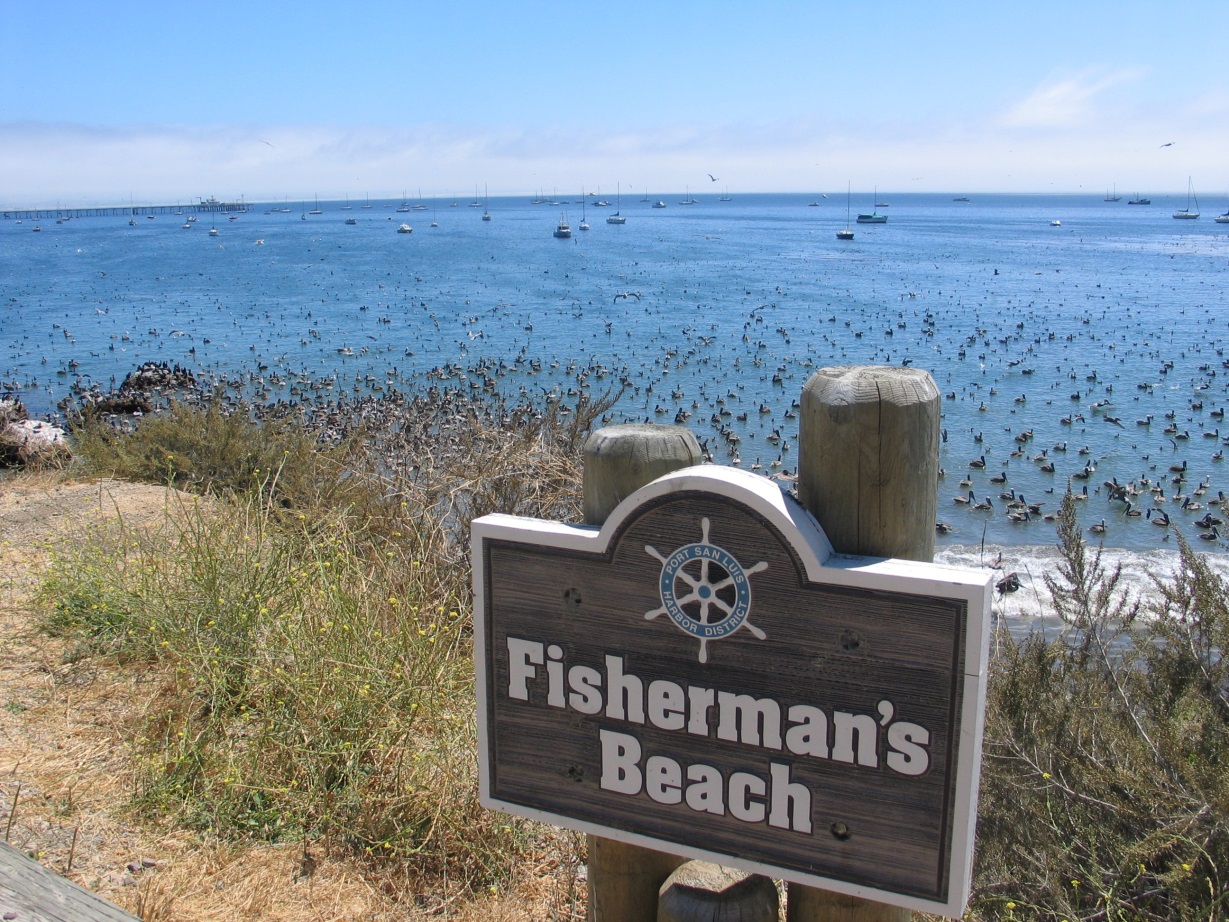 Fisherman's Beach Sign with birds in ocean behind it
