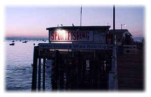 Patriots Sportfishing building at sunset Opens in new window
